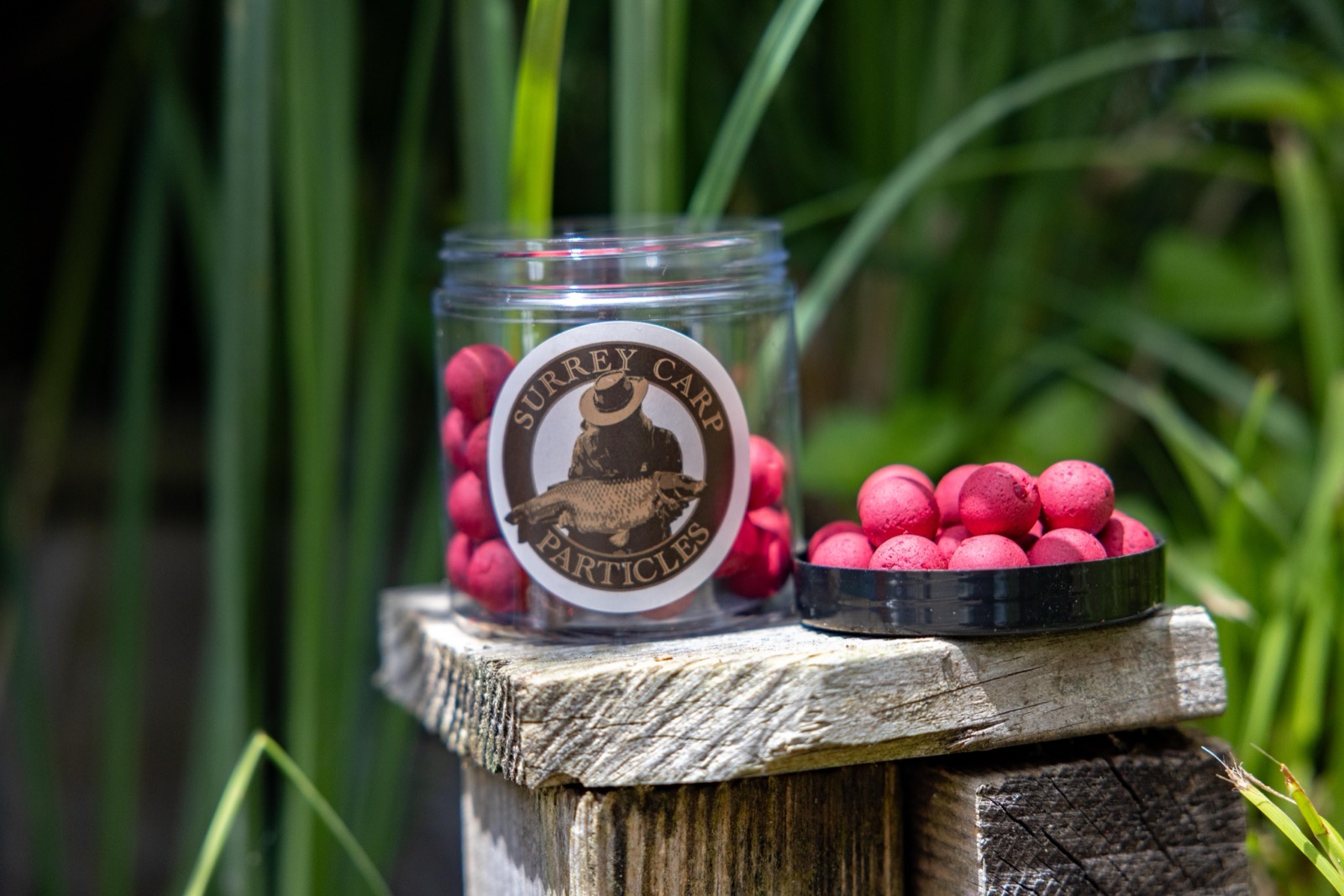 Surrey Carp Particles pop ups