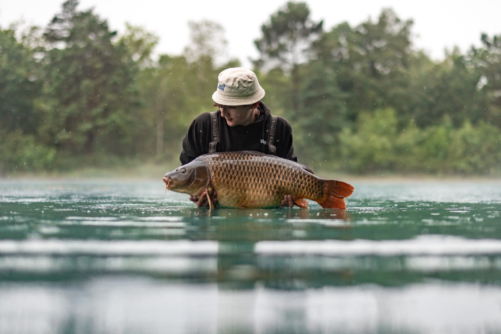 A big common carp held over the water