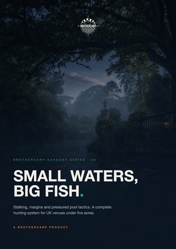 Small Waters Big Fish
