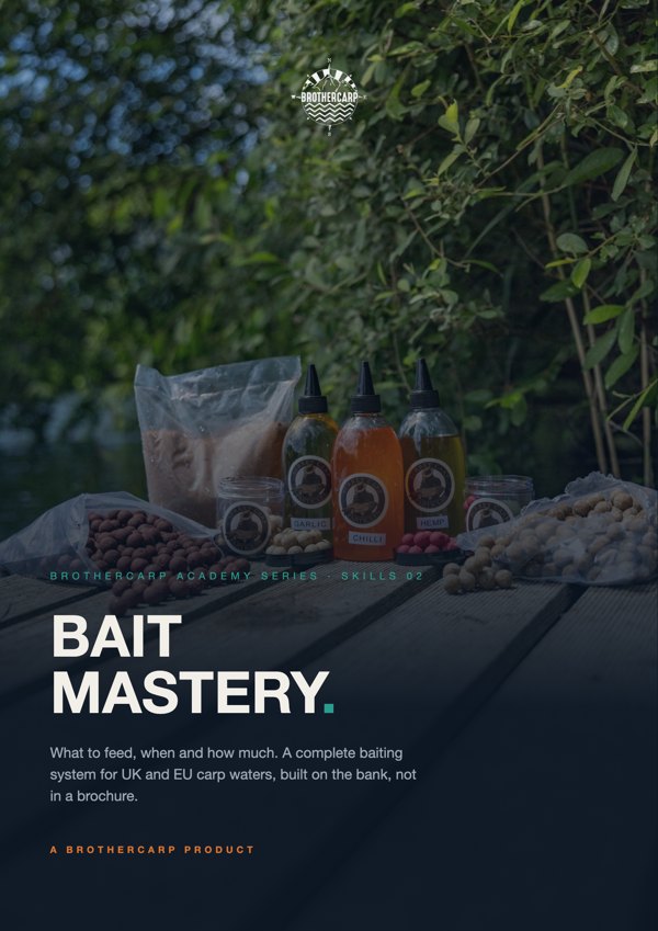 Bait Mastery