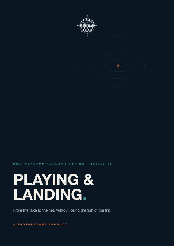 Playing And Landing